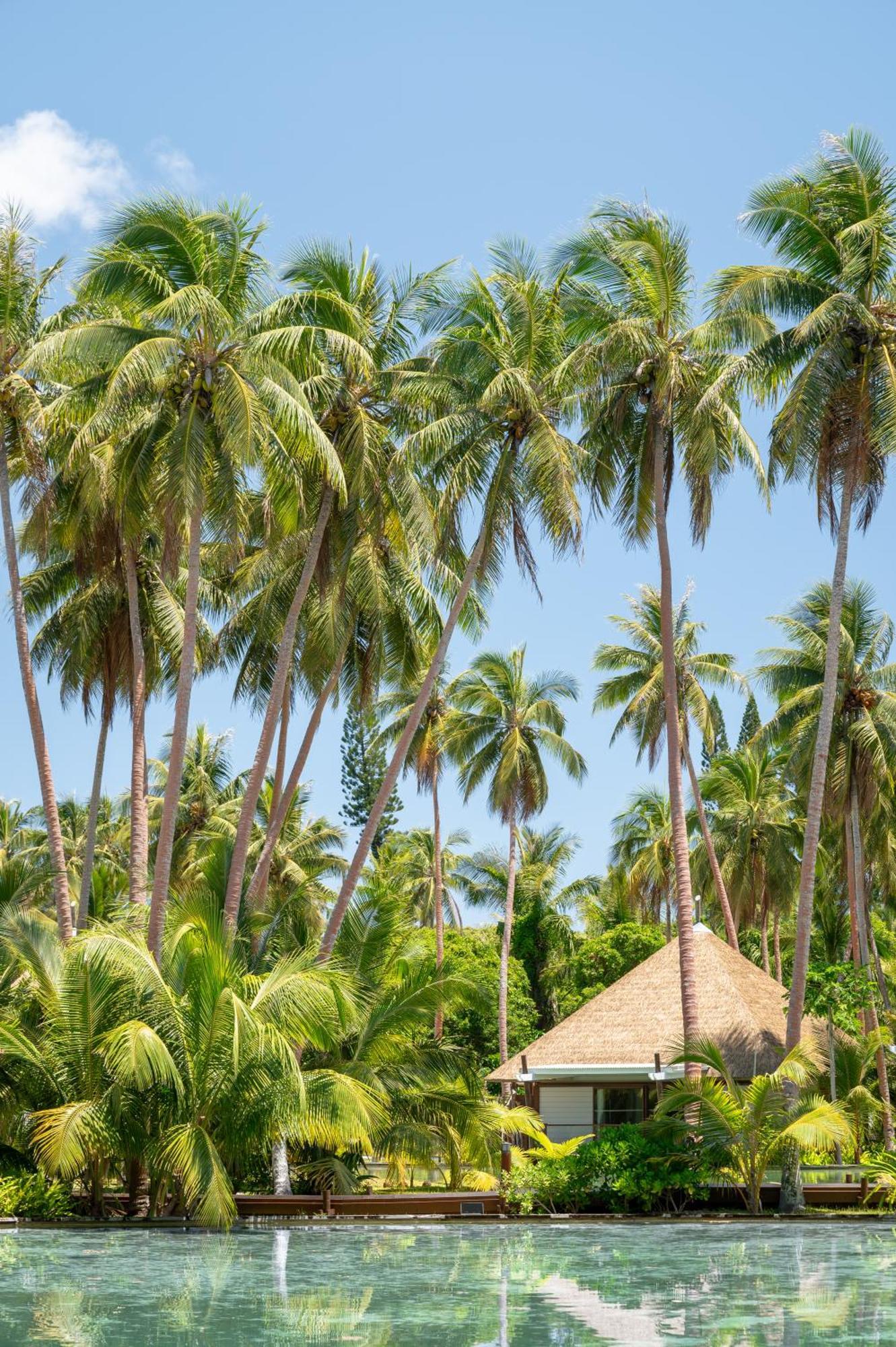 Intercontinental Lifou Wadra Bay Resort Akaouane Ngoại thất bức ảnh